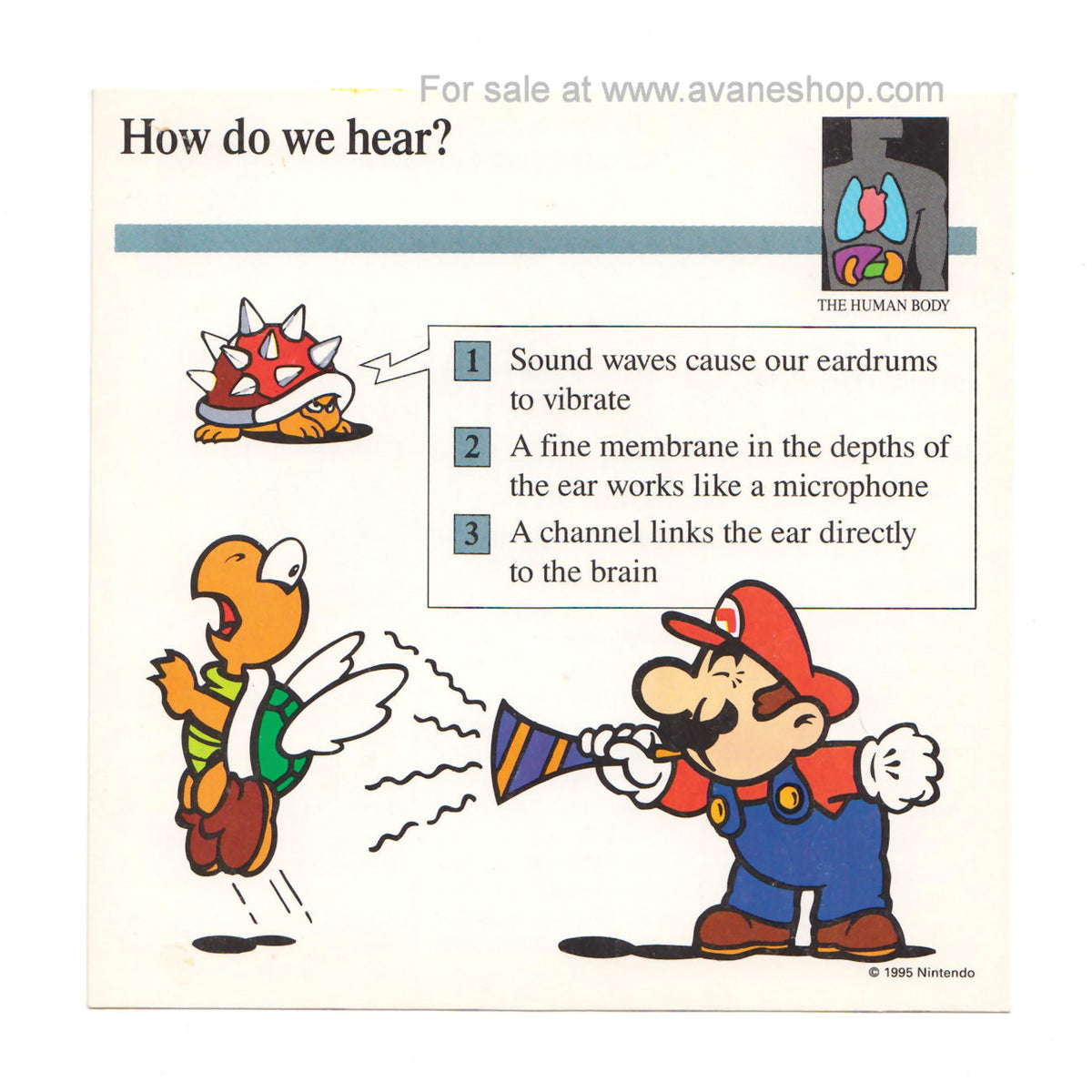 How much do you really know about Mario?, Quizzes